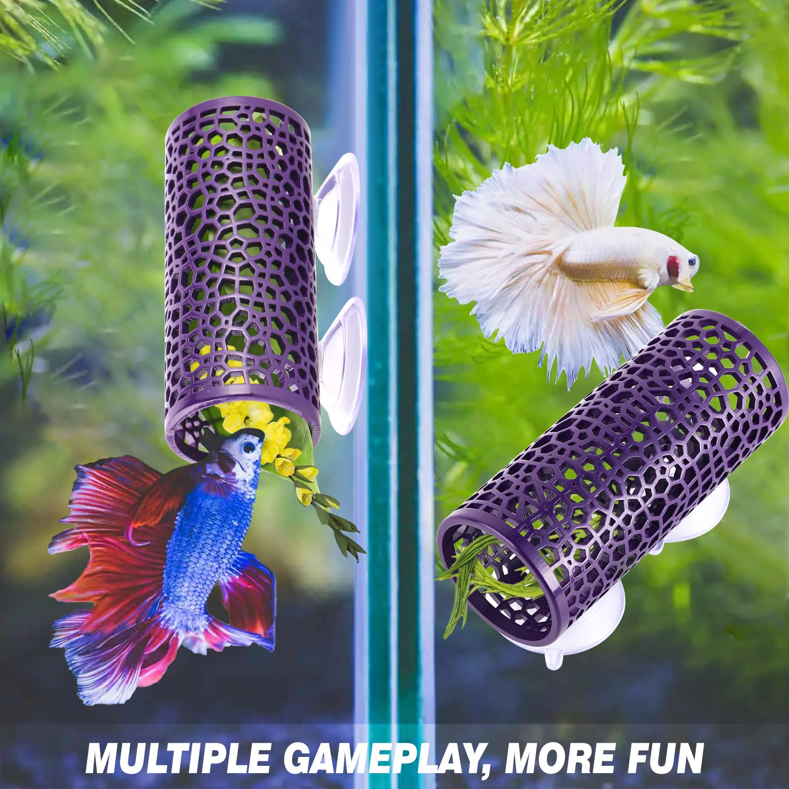 Abizoo Betta Cave tunnel intérieur espace de repos pour betta