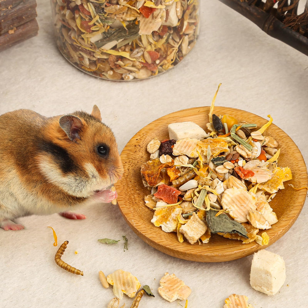 Abizoo comparaison de taille du paquet pratique pour test et conservation