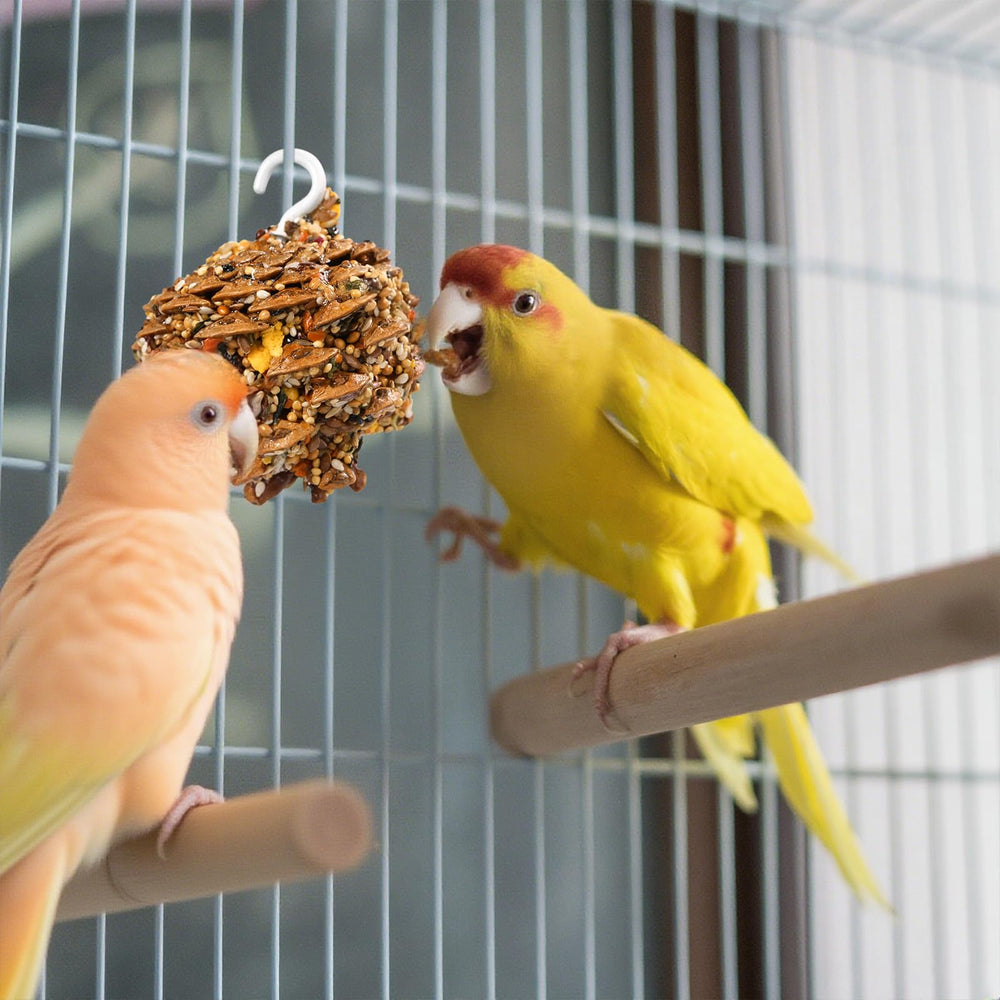 Abizoo comparaison taille main et cône, guide d'échelle utile