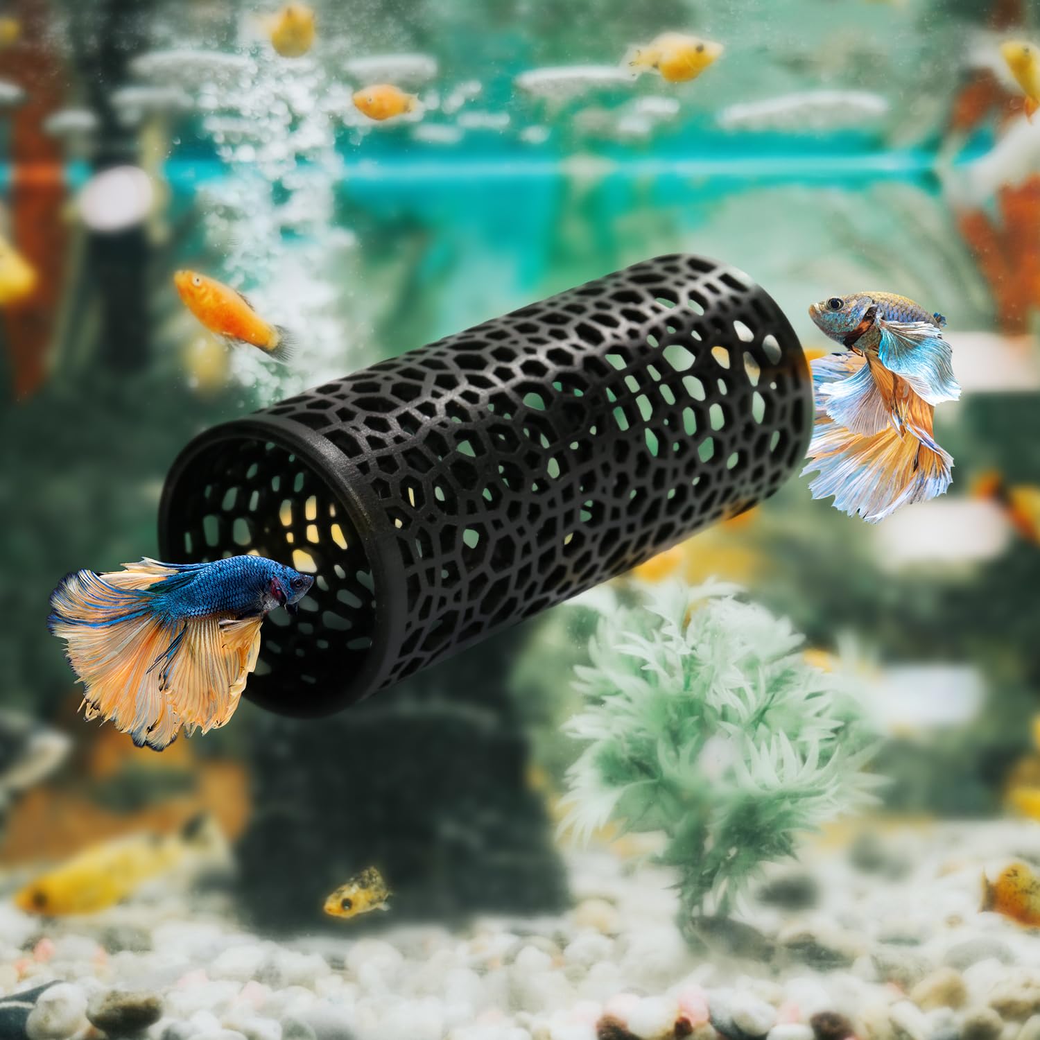 Abizoo tunnel intégré sous plantes créant zones d'abri naturelles
