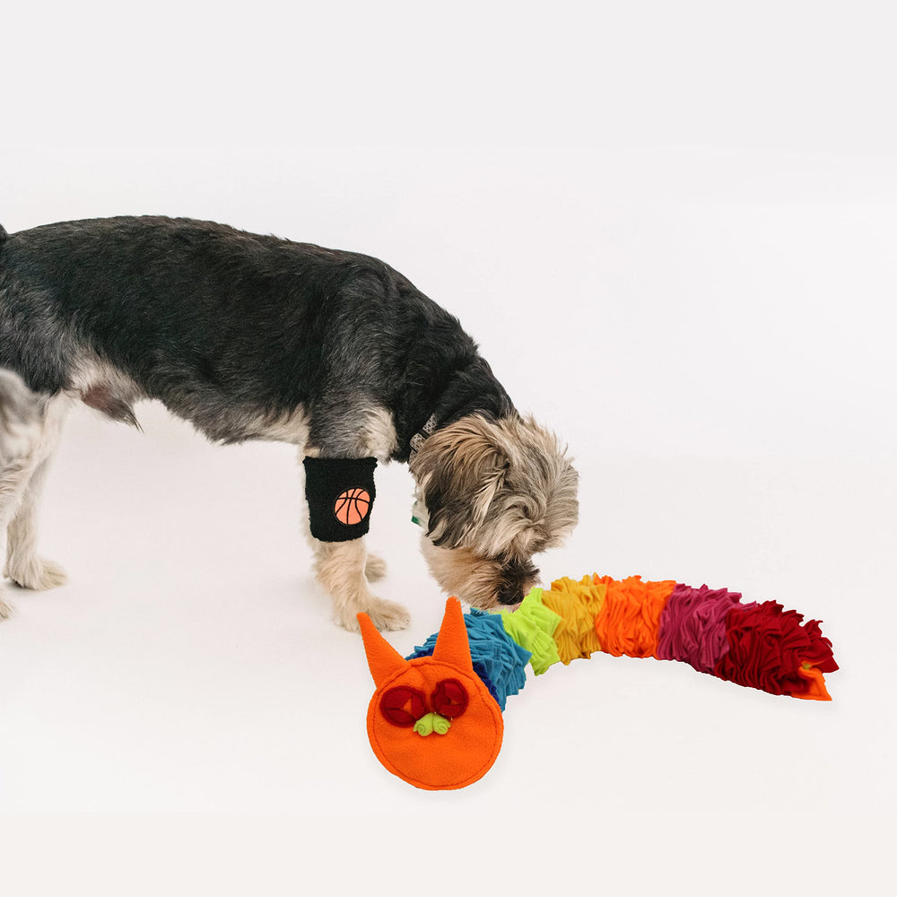 Ablechien Snuffle Snake posé dans un salon, activité calme pour réduire ennui et stress