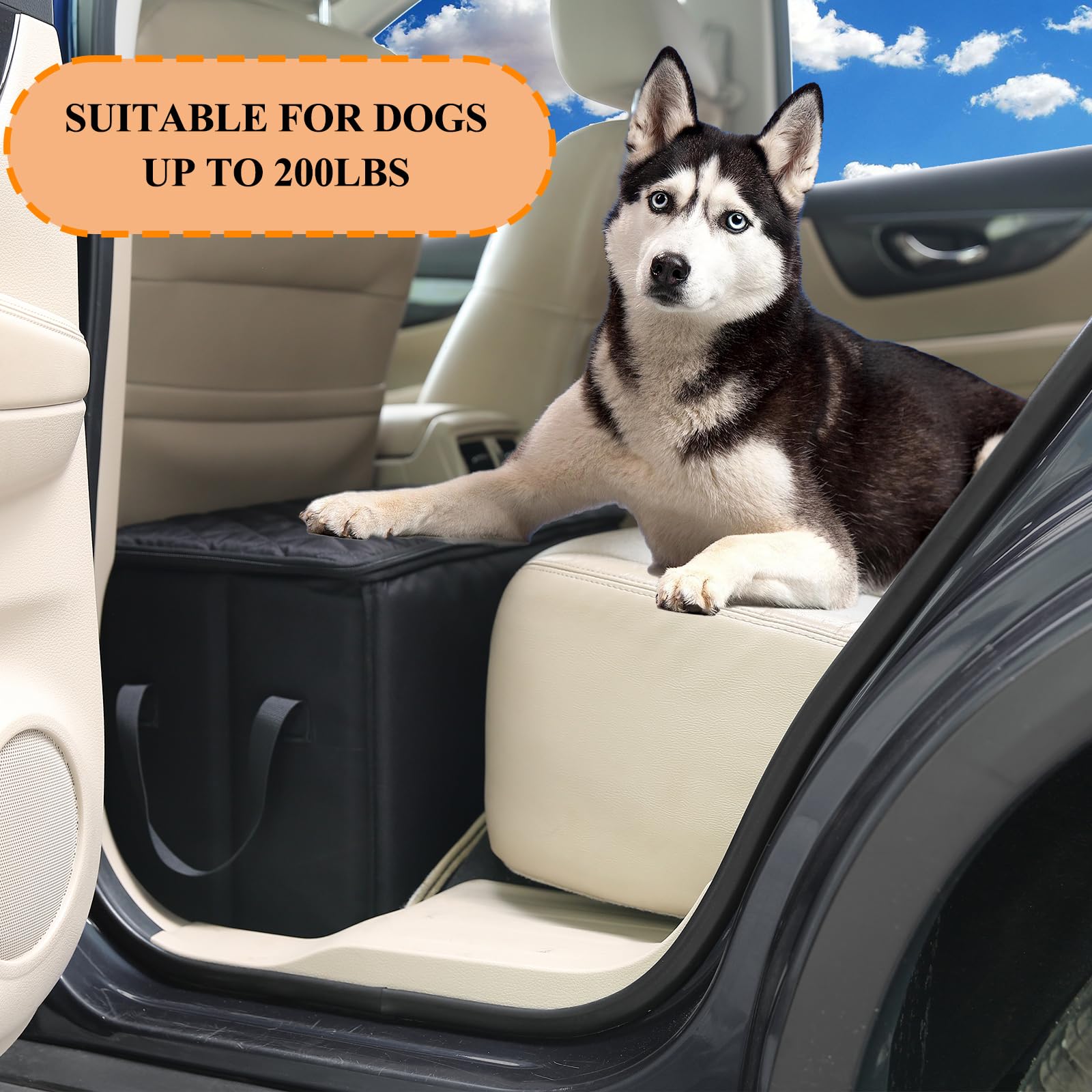 Ablechien ouverture du rangement zippé pour stocker laisse et jouets facilement