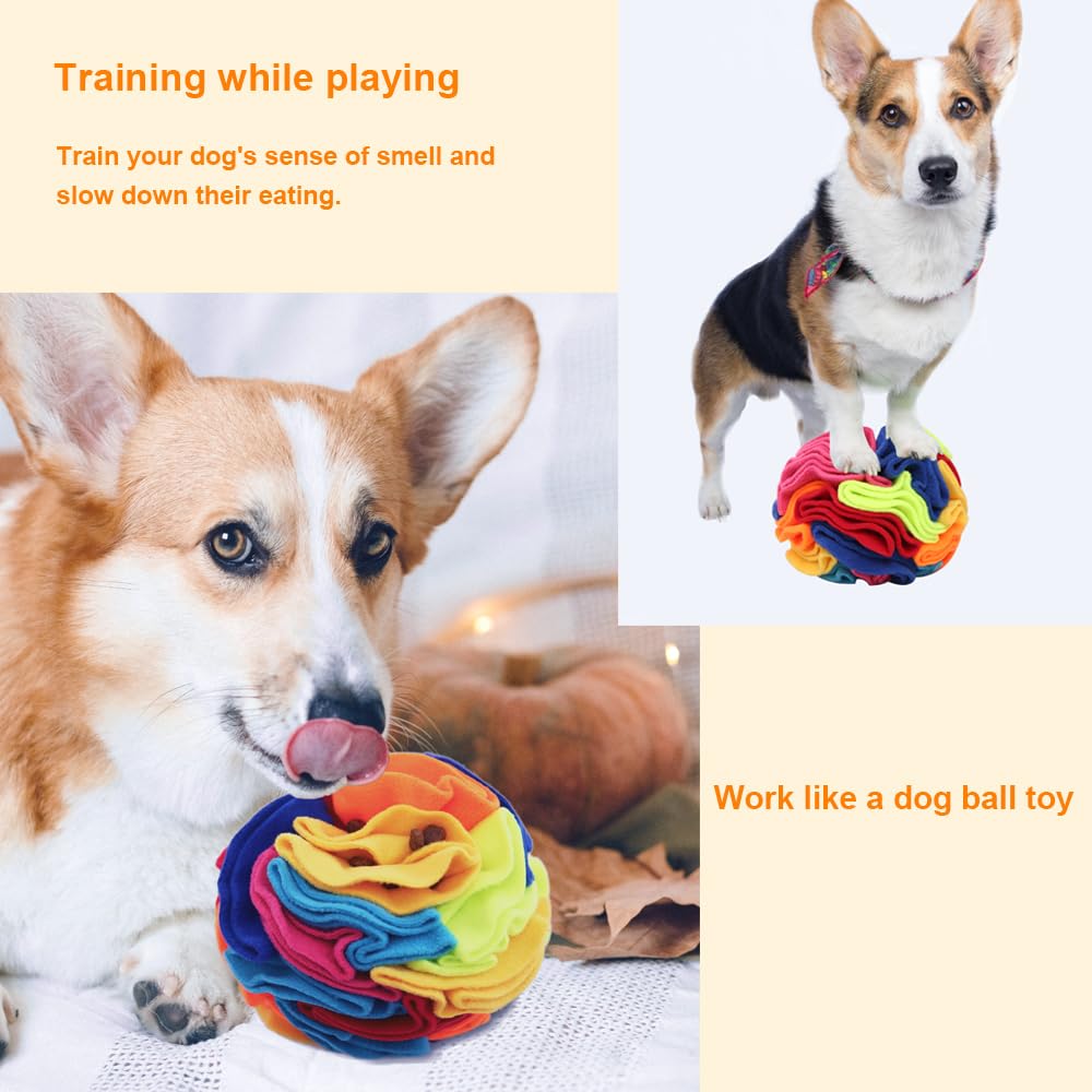 Ablechien comparaison de taille à côté d'une main pour échelle pratique