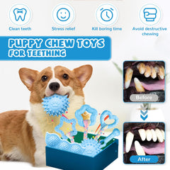 ABRRLO chiot jouant avec jouet bleu illustrant stimulation et divertissement