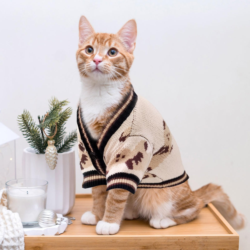 ABRRLO animal relaxant sur canapé avec le pull, confort domestique