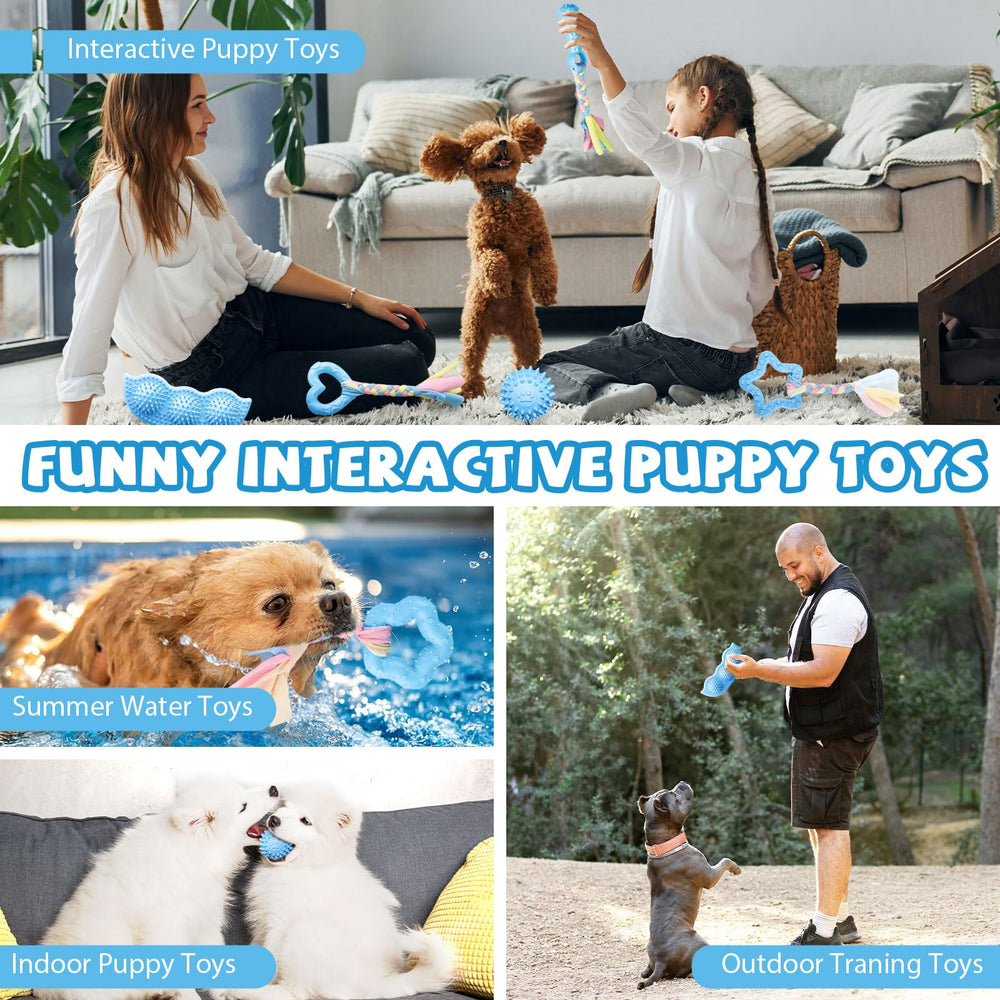 ABRRLO scène domestique montrant jouets gardant chiot occupé et content