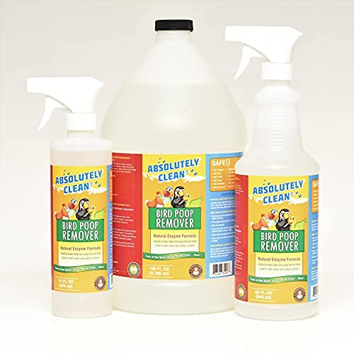 Absolutely Clean comparaison d’échelle montrant la bouteille tenue à la main