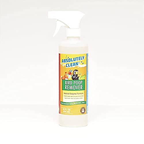 Absolutely Clean flacon avant montrant l’étiquette claire et usage facile