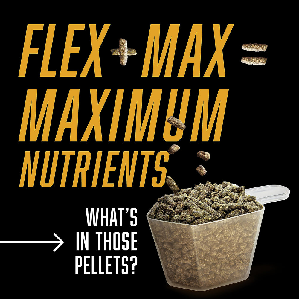 Comparaison de taille des granulés Absorbine Flex+Max dans une main pour évaluer l'échelle