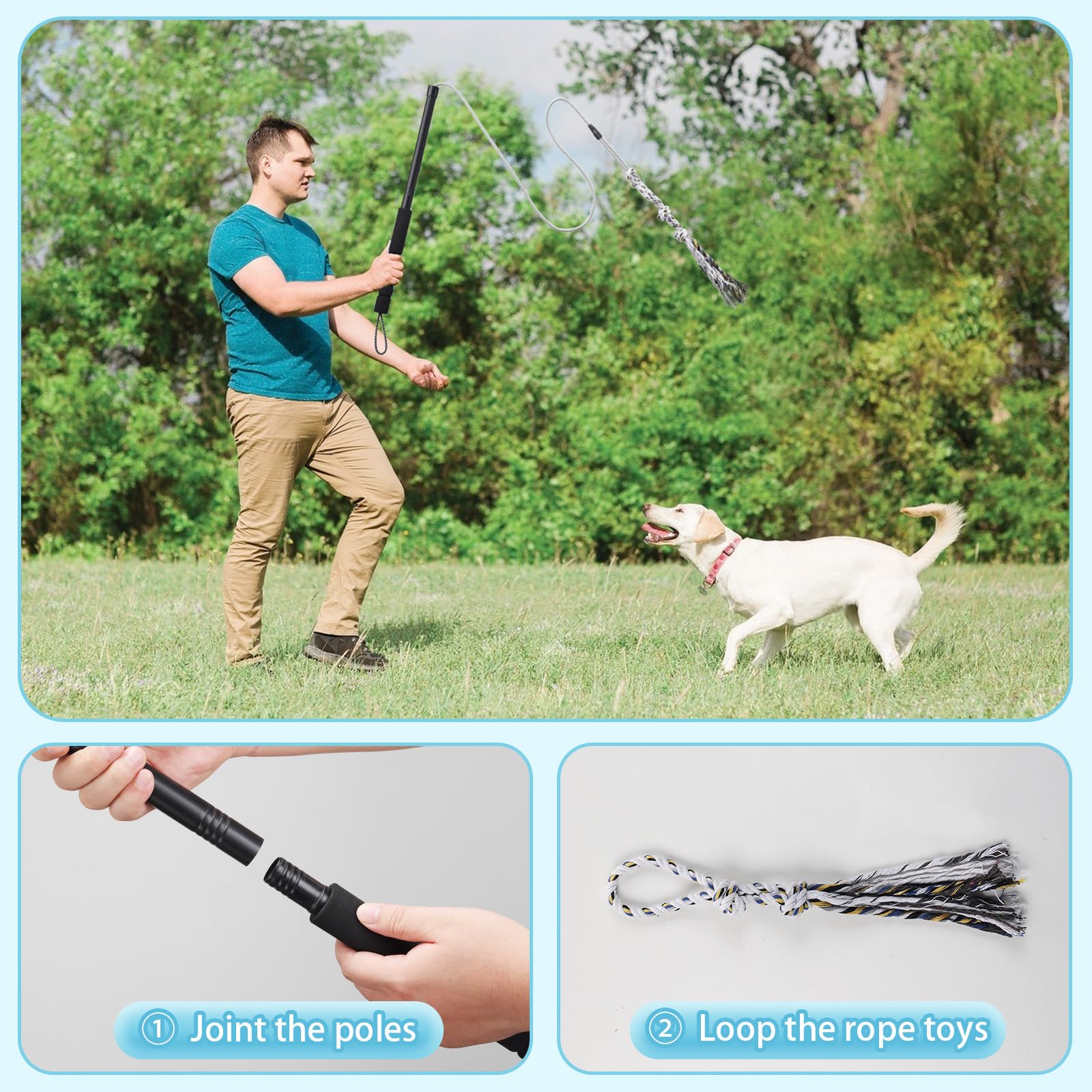 ABtool flirt pole comparaison d'échelle montrant distances adaptées pour chiens
