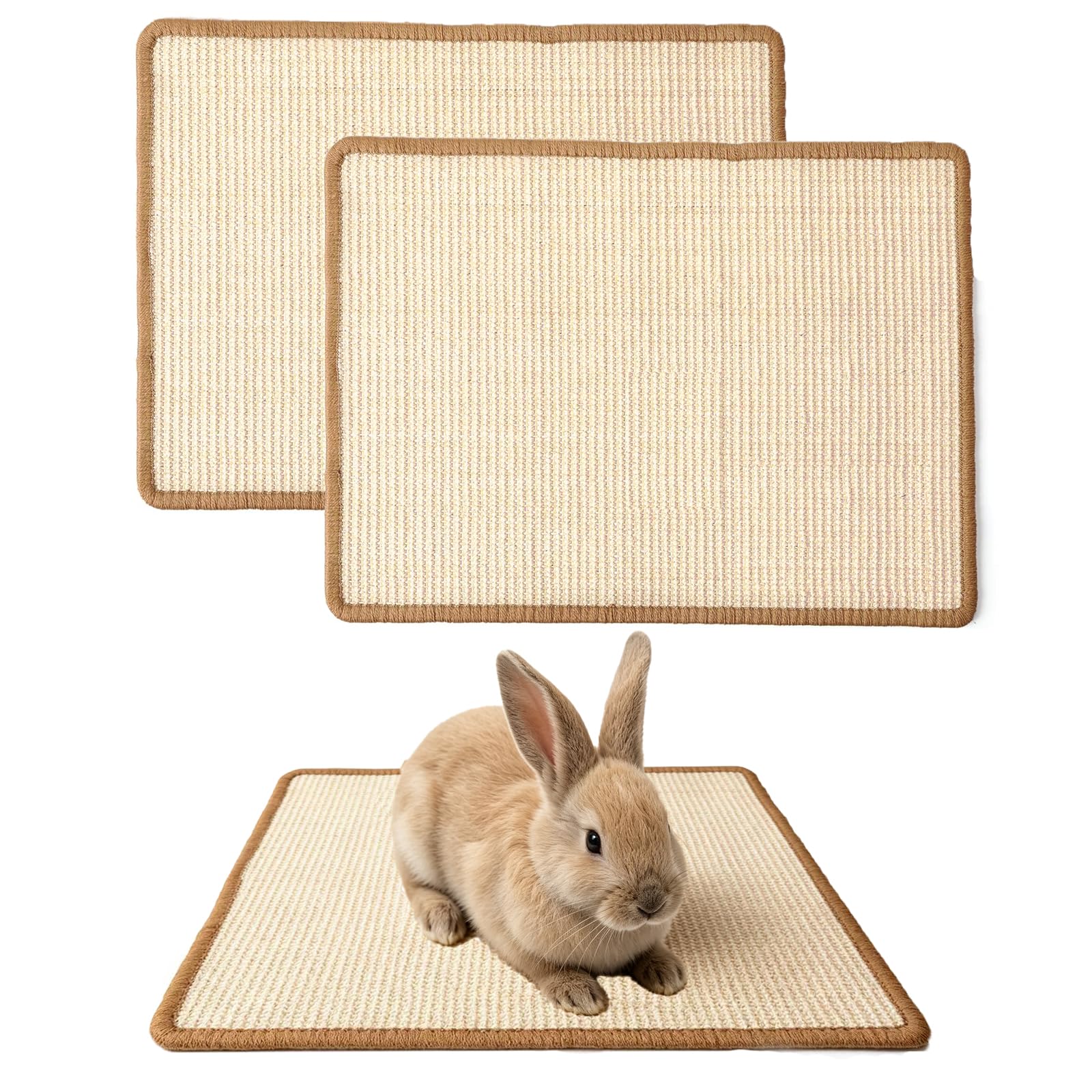 Abuzabu tapis sisal pack de deux montrant l'aspect général et l'utilité