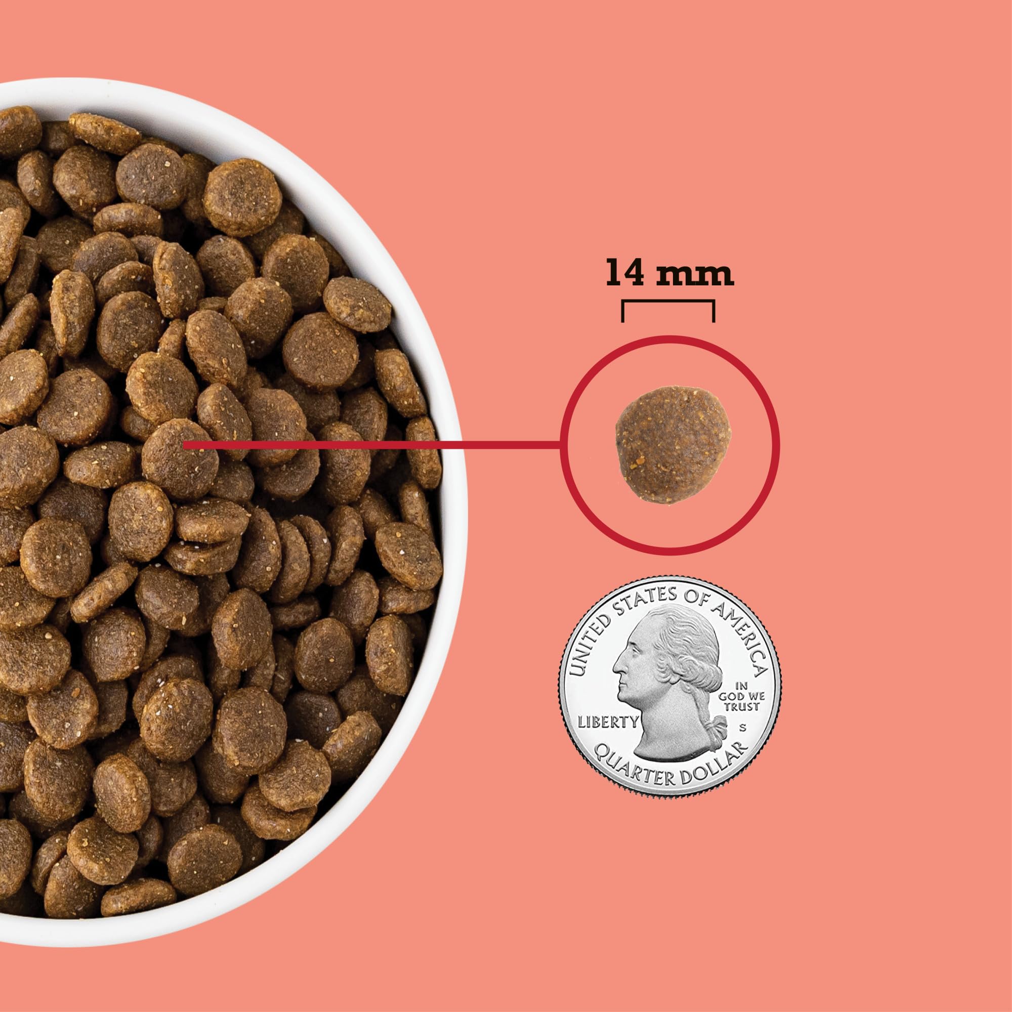 ACANA bol servi avec pelage brillant pour santé du pelage