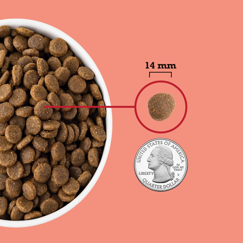 ACANA bol servi avec pelage brillant pour santé du pelage