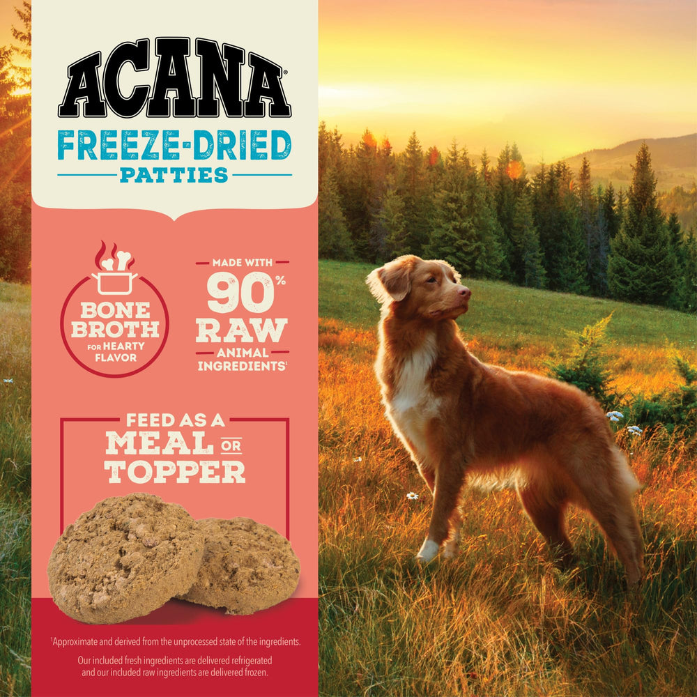 ACANA bol avec bouillon d’os illustrant le goût riche et appétence