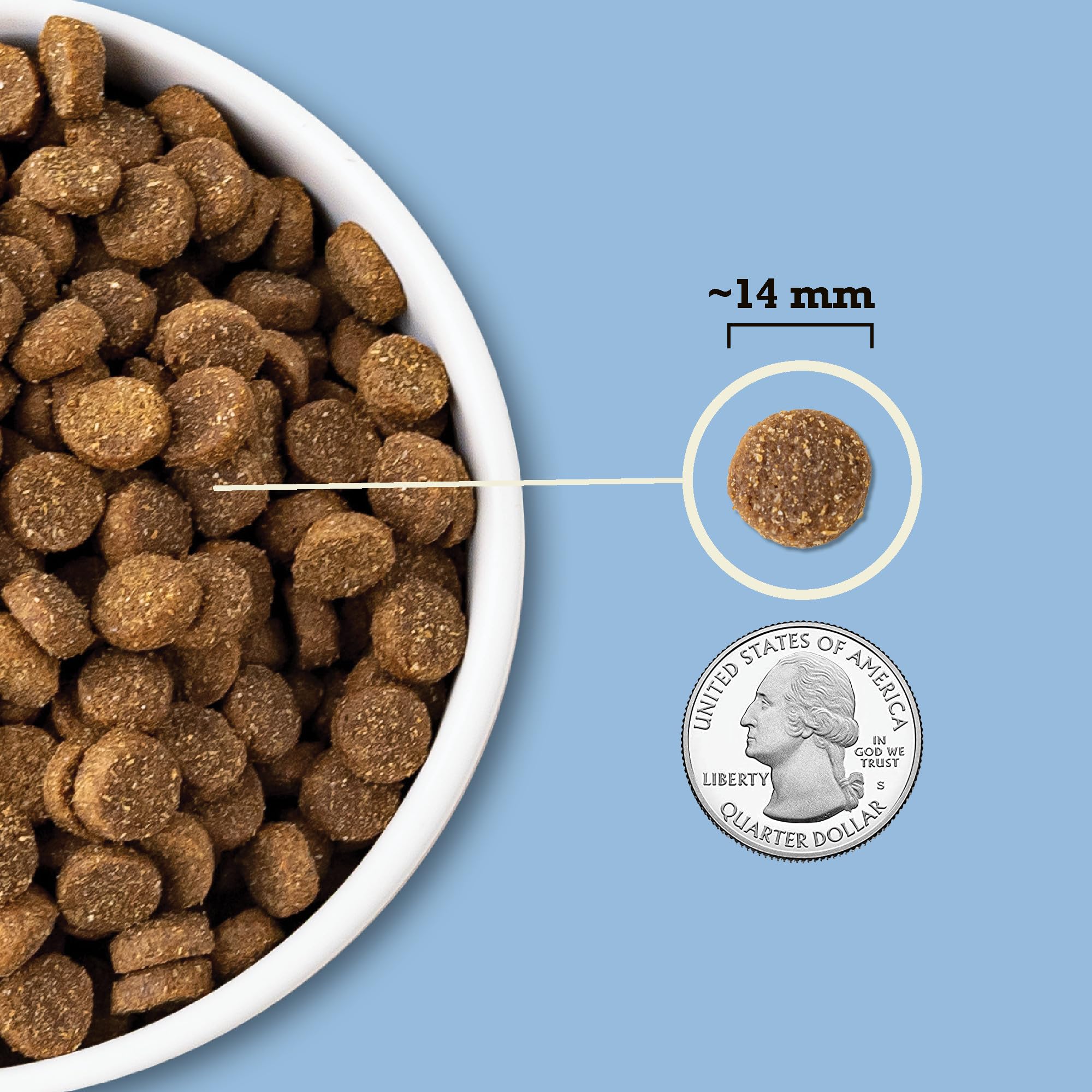 ACANA citrouille et avoine gros plan apportant fibres et digestion