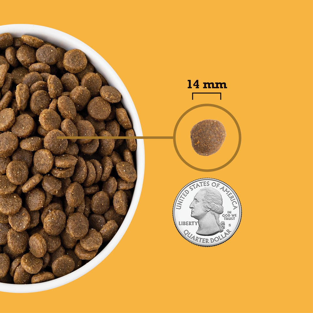 ACANA croquettes dans un bol montrant la portion quotidienne pour chien