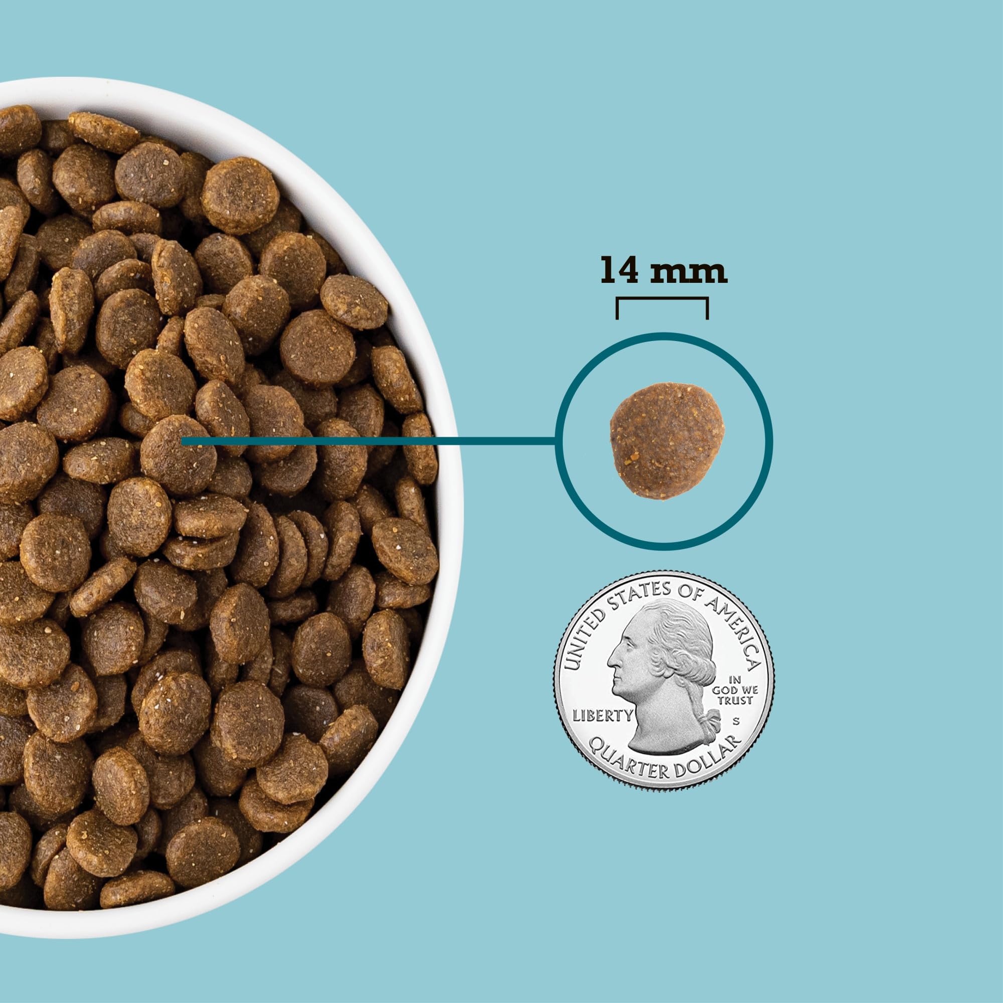 ACANA croquettes dans un bol prêtes à servir pour une alimentation équilibrée