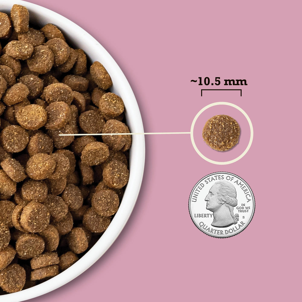 ACANA croquettes dans une main pour montrer l’échelle; pratique pour petits chiens