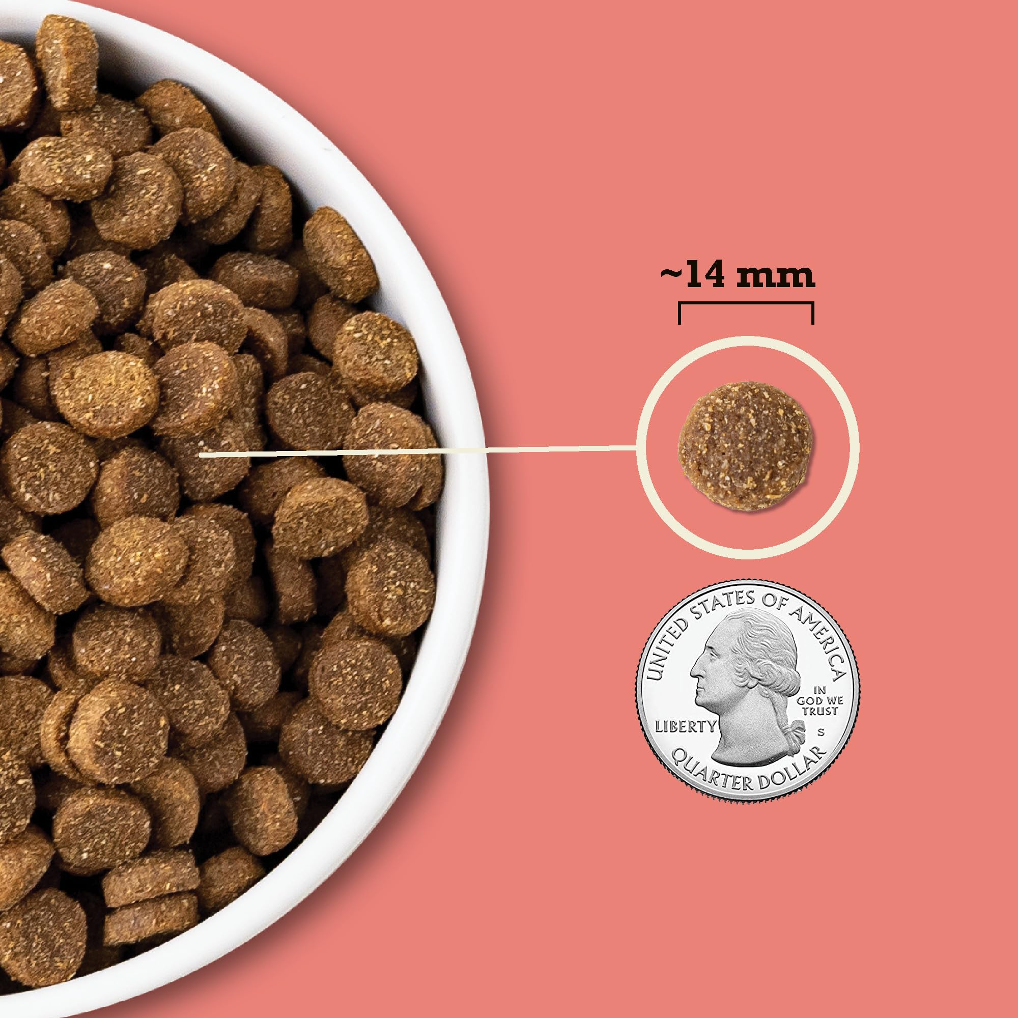 portion de croquettes ACANA dans une main pour visualiser taille et contrôle des rations