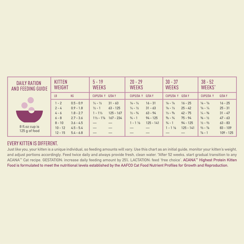 ACANA scène lifestyle chaton actif montrant santé et vitalité