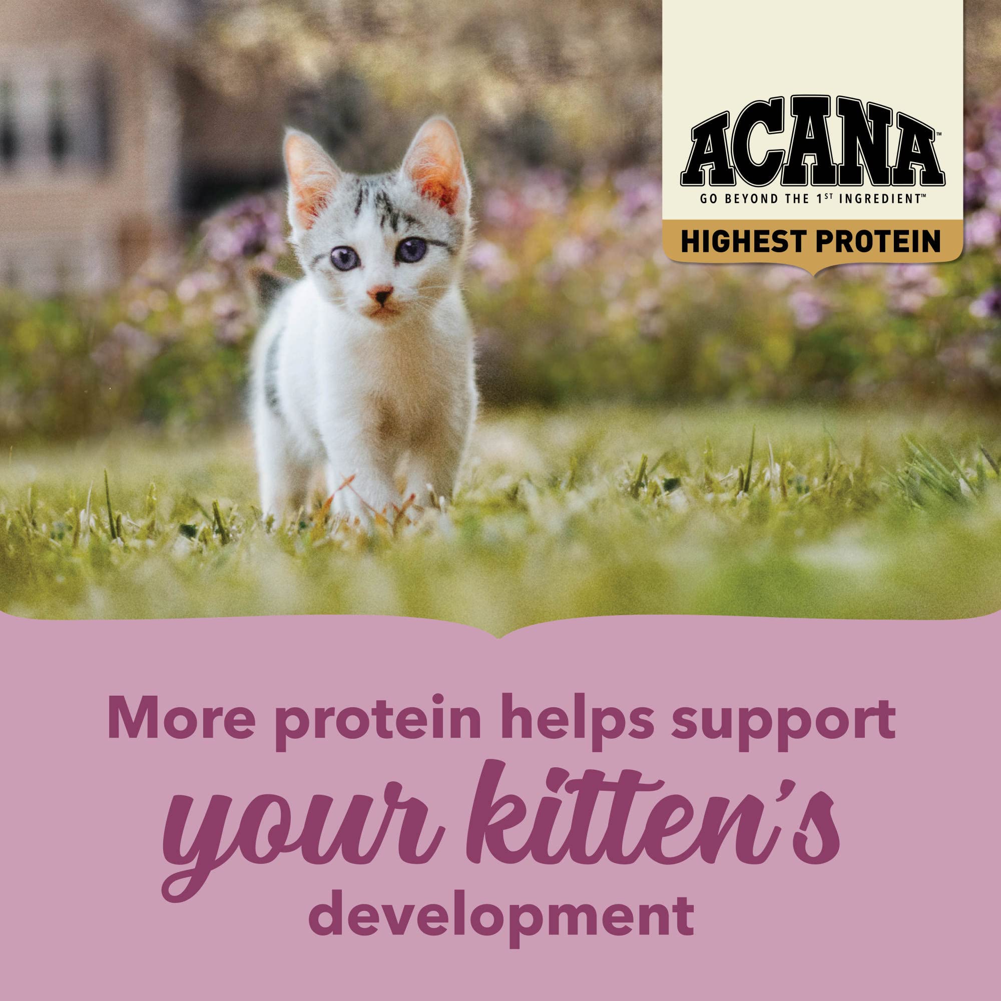 ACANA sachet ouvert avec kibbles montrant fraîcheur et qualité