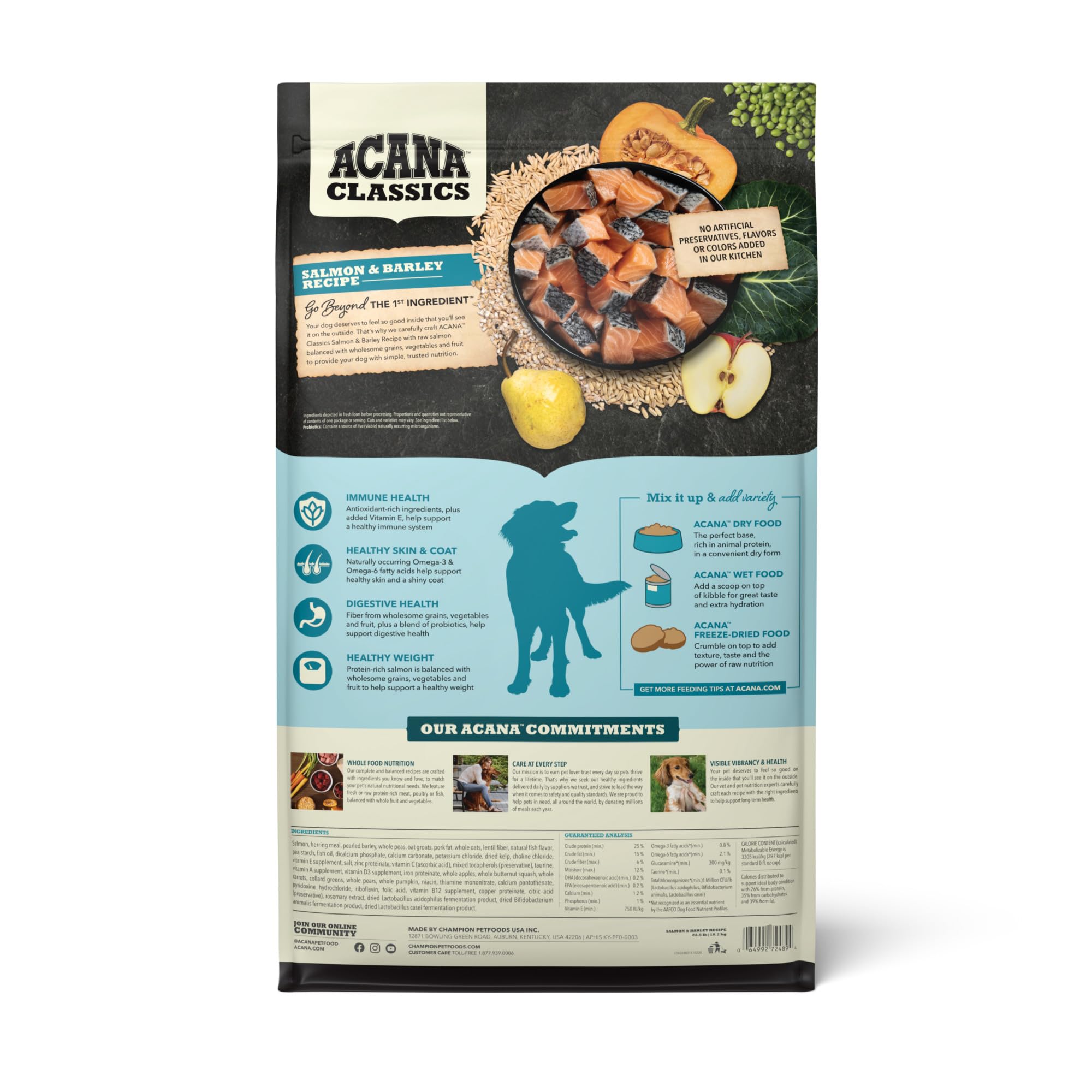 Gros plan croquette ACANA Salmon & Barley montrant texture et appétence