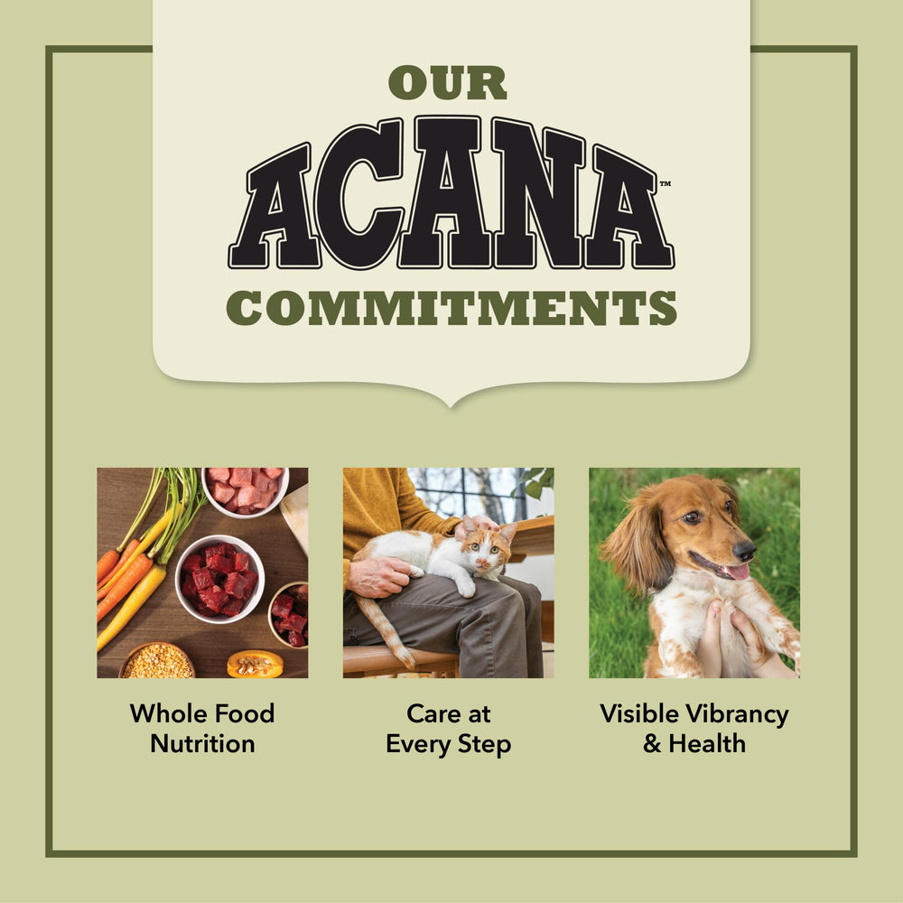 Scène de vie en cuisine avec sac ACANA et bol prêt à servir, saveur maison