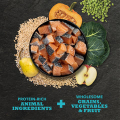 Portion mesurée de croquettes ACANA pour contrôle des rations quotidiennes