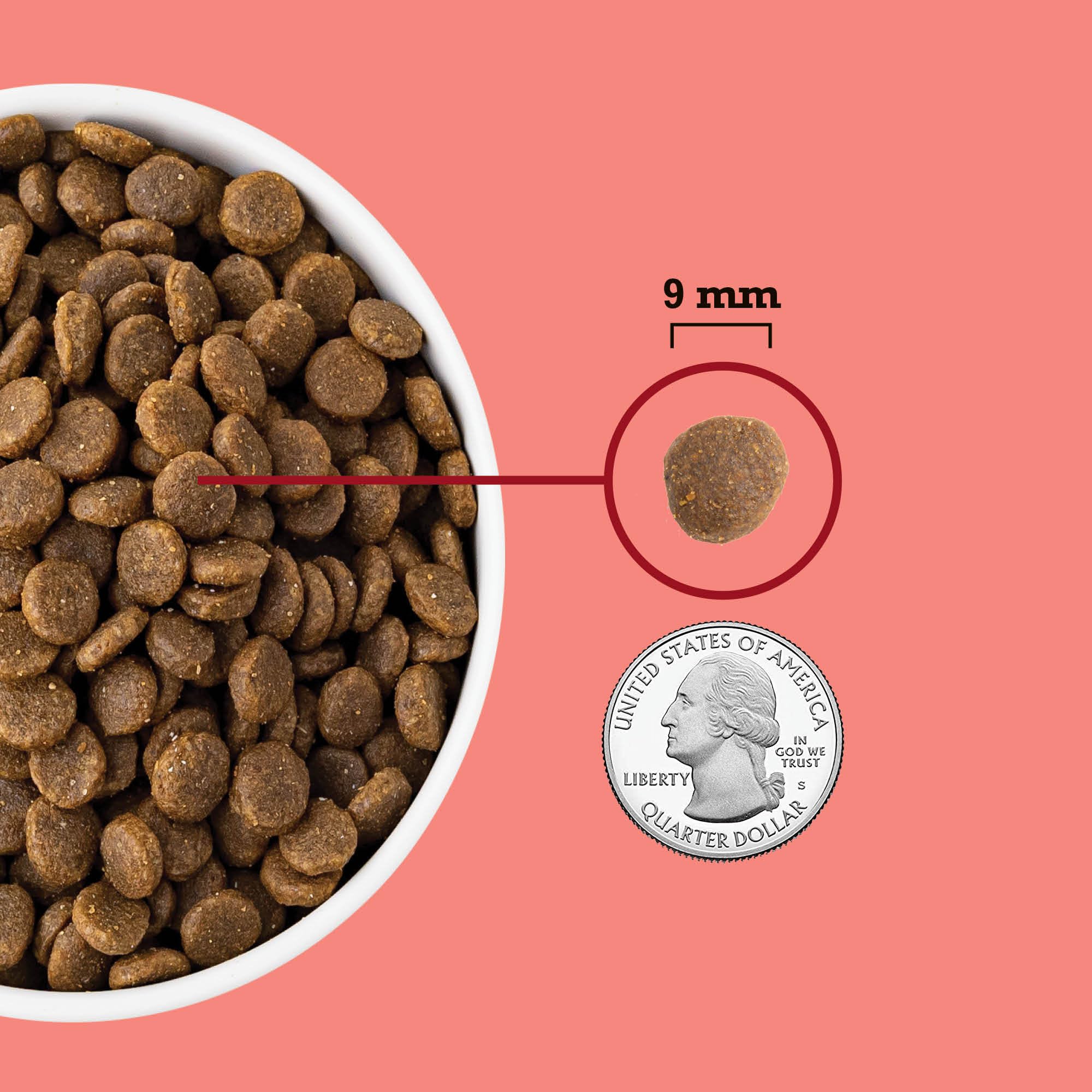 ACANA comparaison taille croquette et pièce montrant échelle pratique