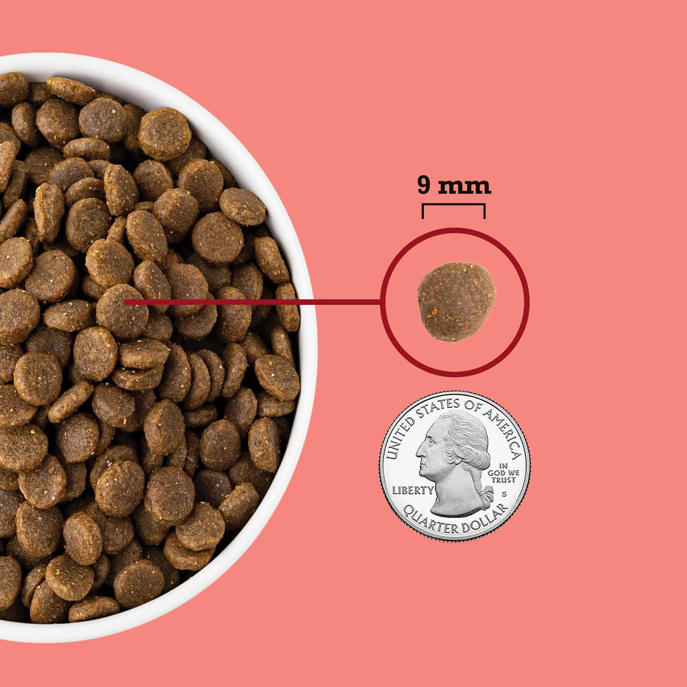 ACANA comparaison taille croquette et pièce montrant échelle pratique