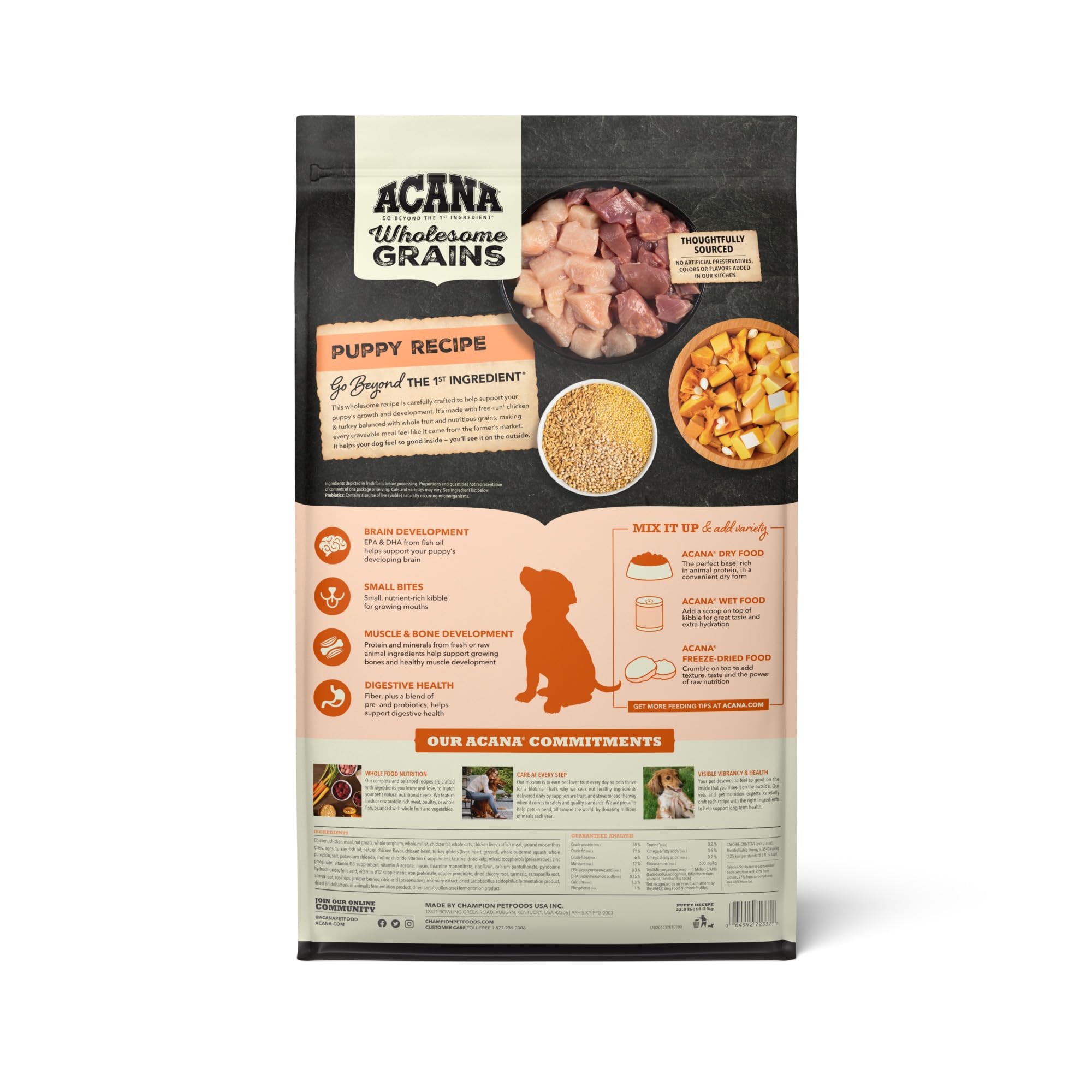 ACANA gros plan des croquettes mettant en valeur texture et appétence