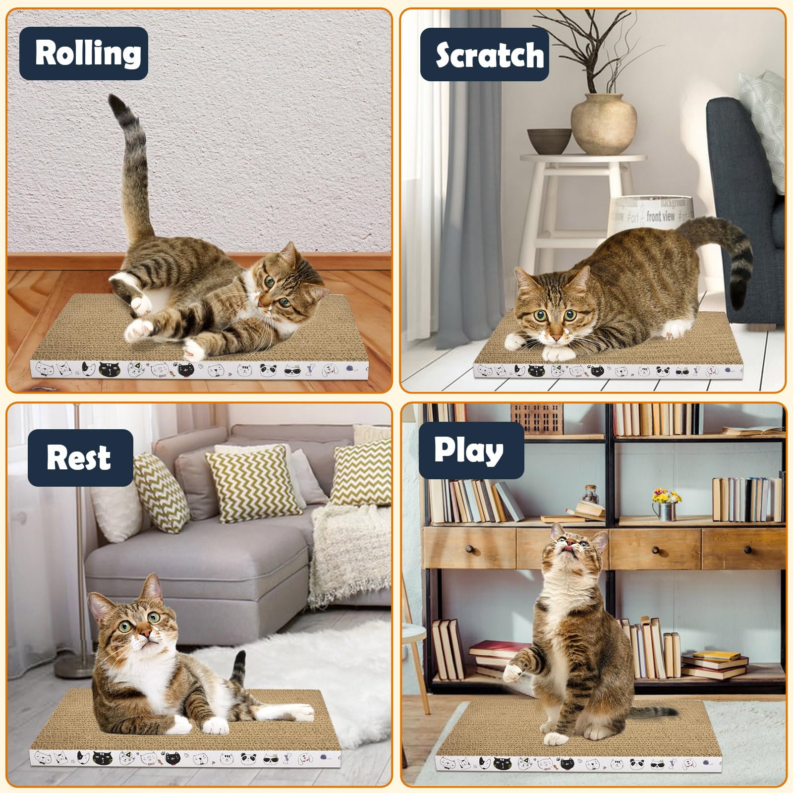 AccEncyc mise en scène salon avec chat se reposant sur la plaque, calme et confort