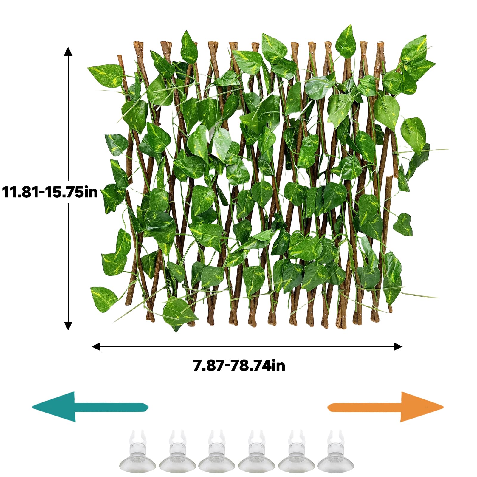Acsist gros plan sur les feuilles PPC durable offrant texture pour grimper