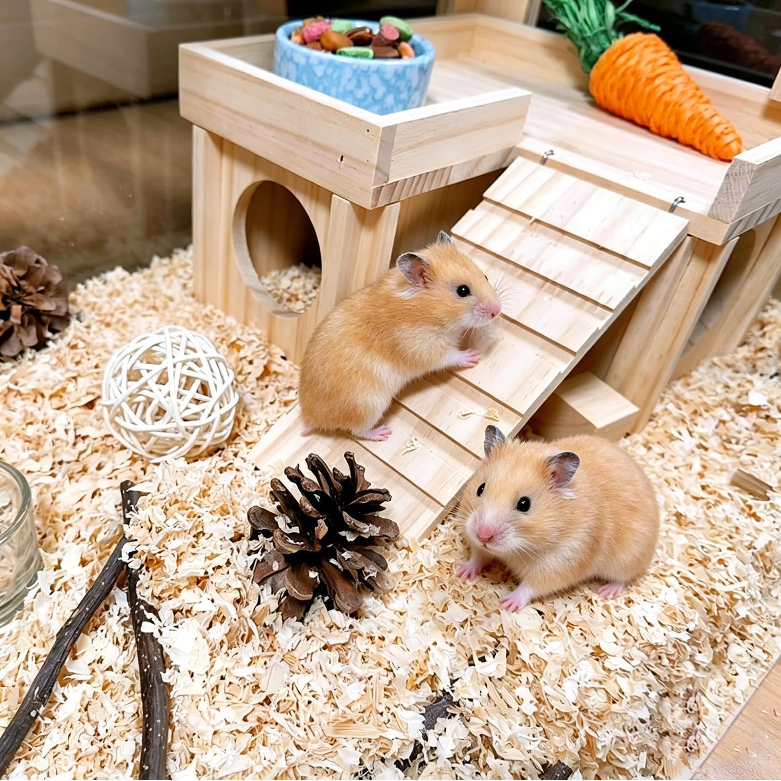 Acsist maisonnette installée dans cage montrant intégration pratique