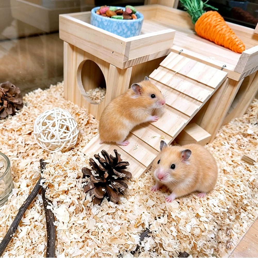 Acsist maisonnette installée dans cage montrant intégration pratique