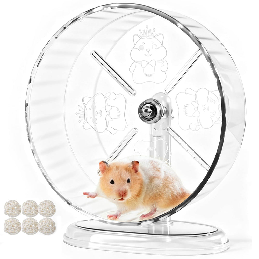 Acsist roue transparente vue frontale montrant stabilité et design
