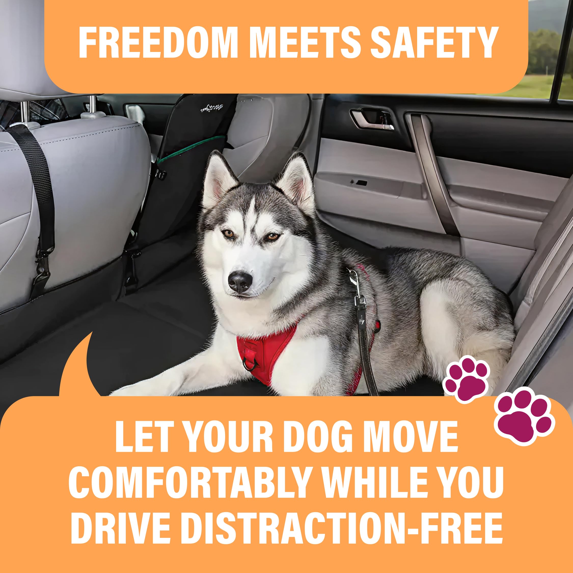Active Pets chien attaché au harnais dans la voiture pour trajet serein