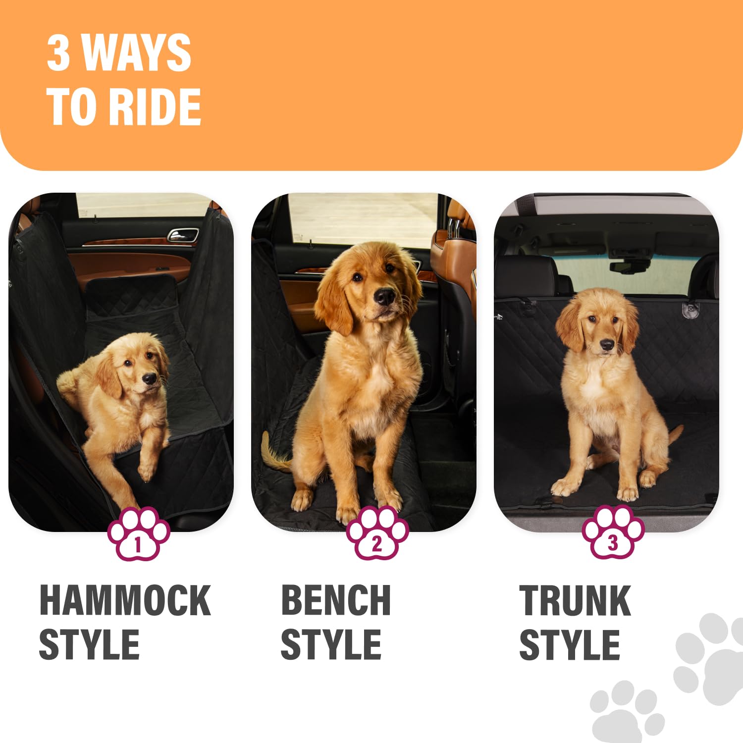 Active Pets emballage avec guide des tailles pratique