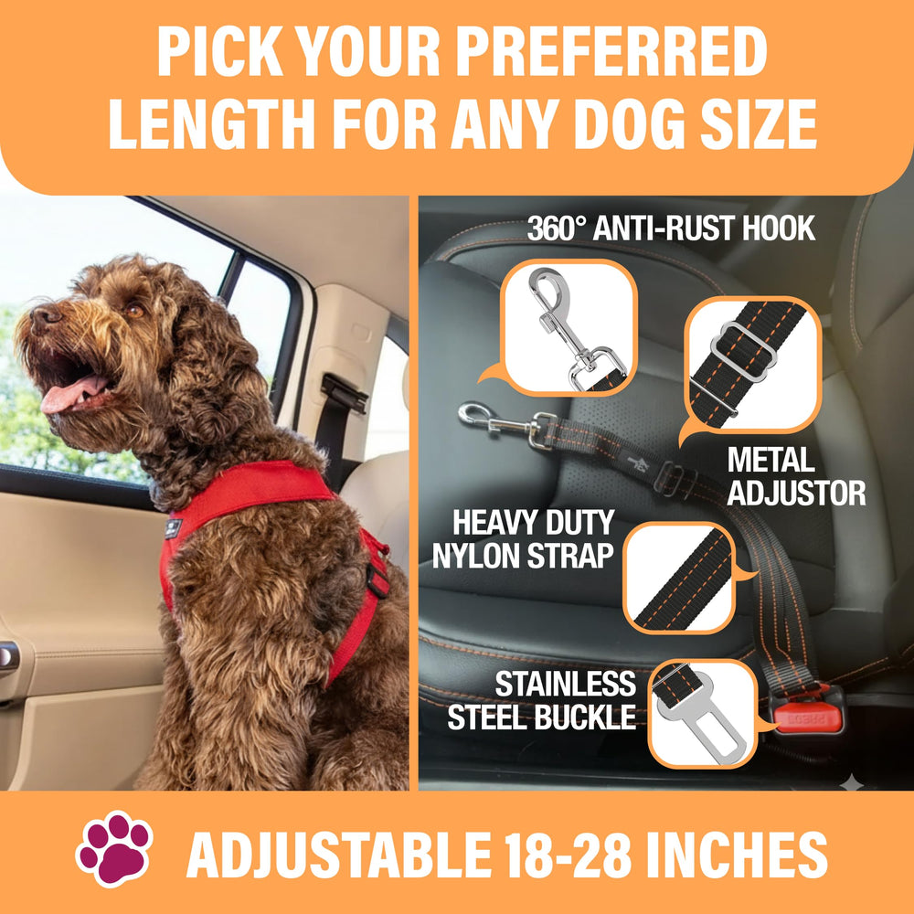 Active Pets fixation insérée dans la boucle de siège pour déplacement sécurisé