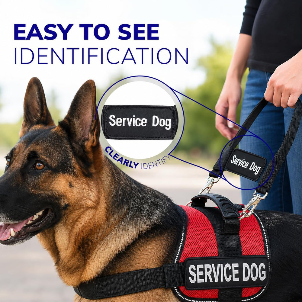 ActiveDogs clips d'attache rapides montrés ouverts pour changement facile