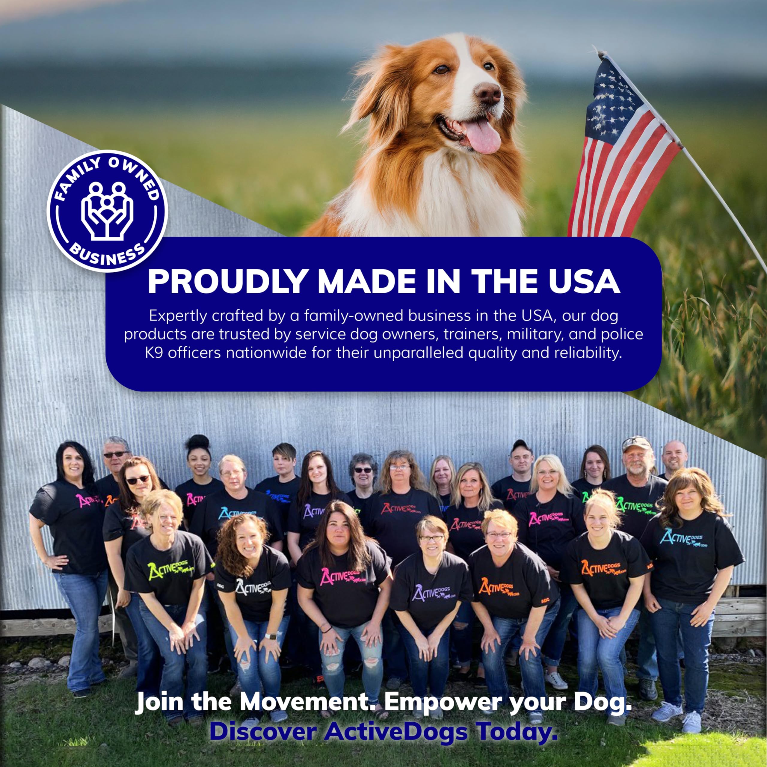 ActiveDogs contenu inclus montrant poignée et clips prêts à l'emploi