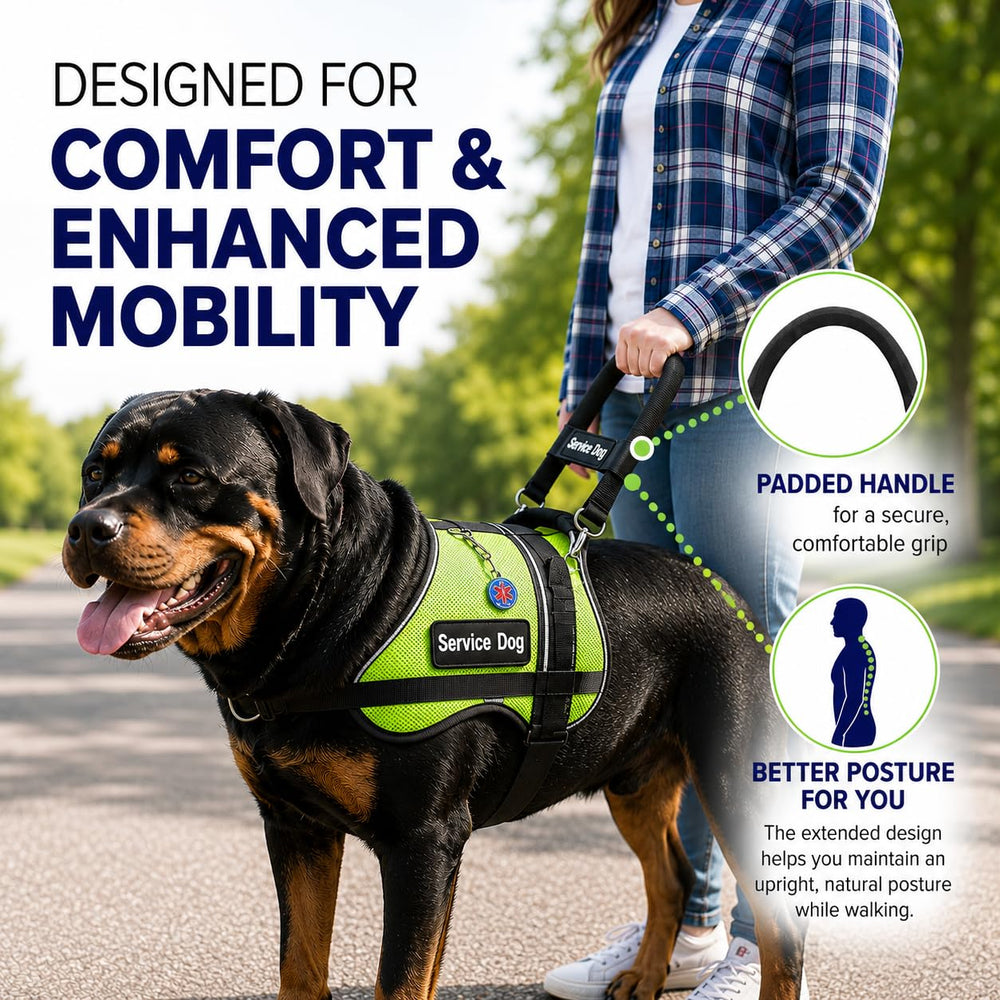 ActiveDogs bande d'identification «Service Dog» brodée pour repérage clair