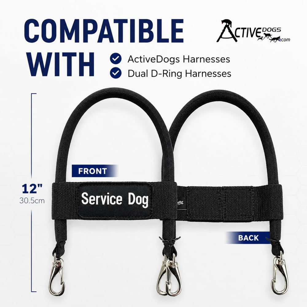 ActiveDogs poignée en contexte urbain démontrant confort lors déplacements