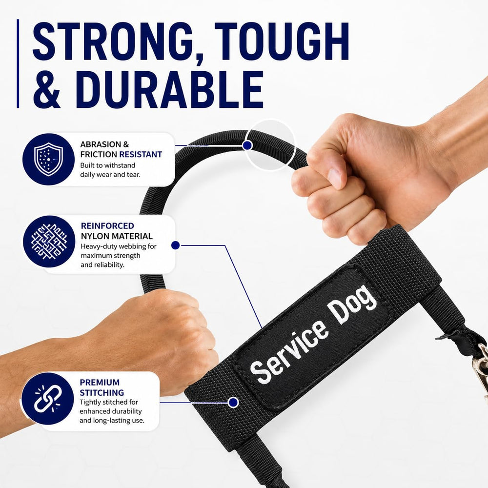 ActiveDogs détail du noyau double paroi pour rigidité et sécurité