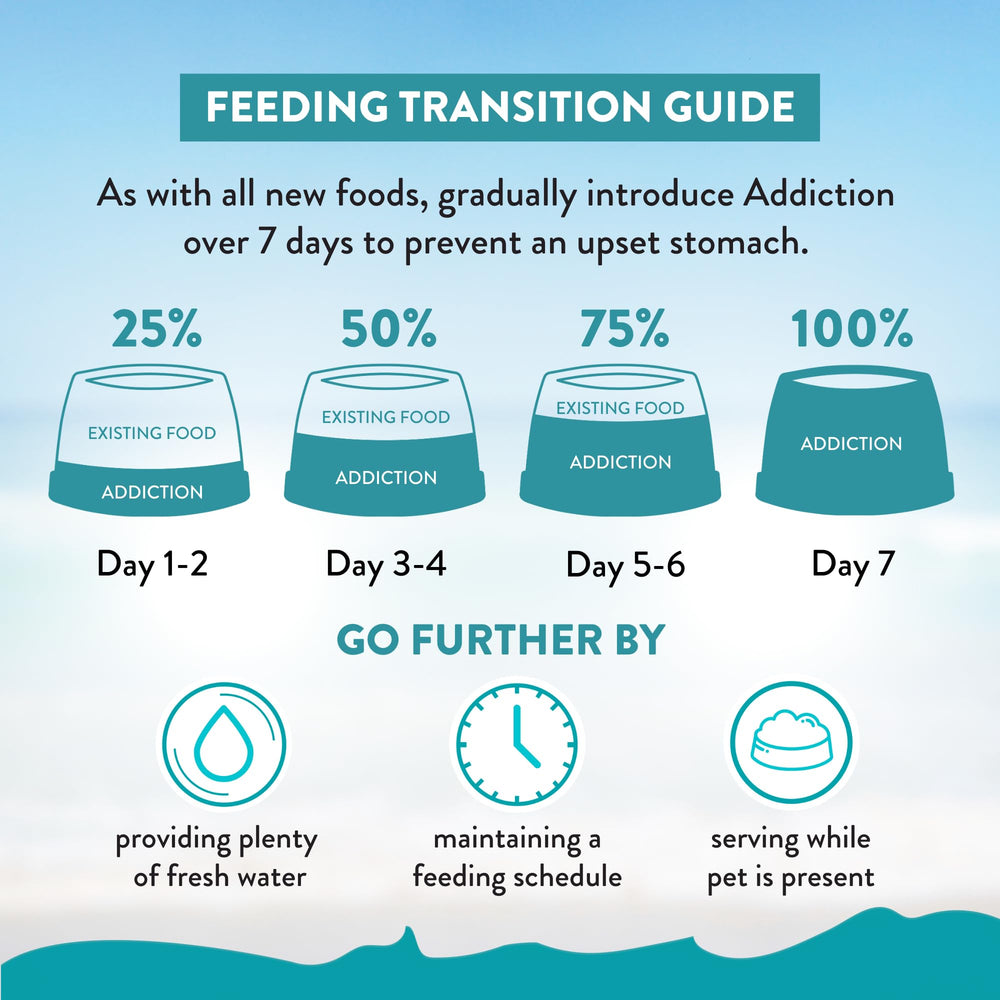 Addiction chat mangeant dans cuisine montrant digestion facile et plaisir