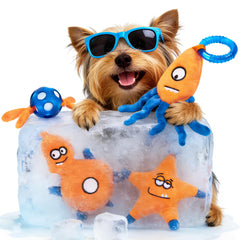ADDPETS emballage avant montrant le lot de quatre jouets apaisants