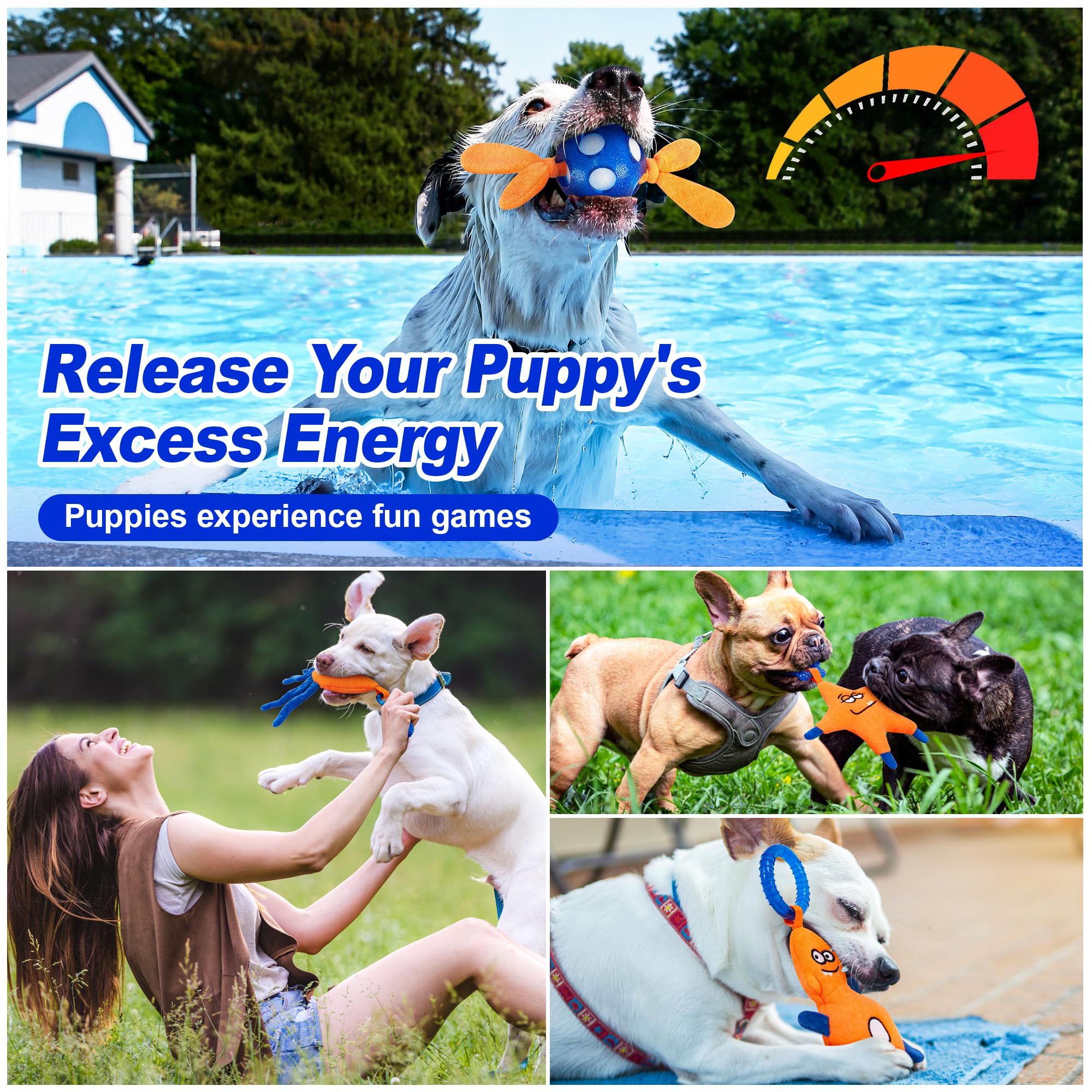 ADDPETS chiot jouant sur tapis réduisant stress et comportements destructeurs