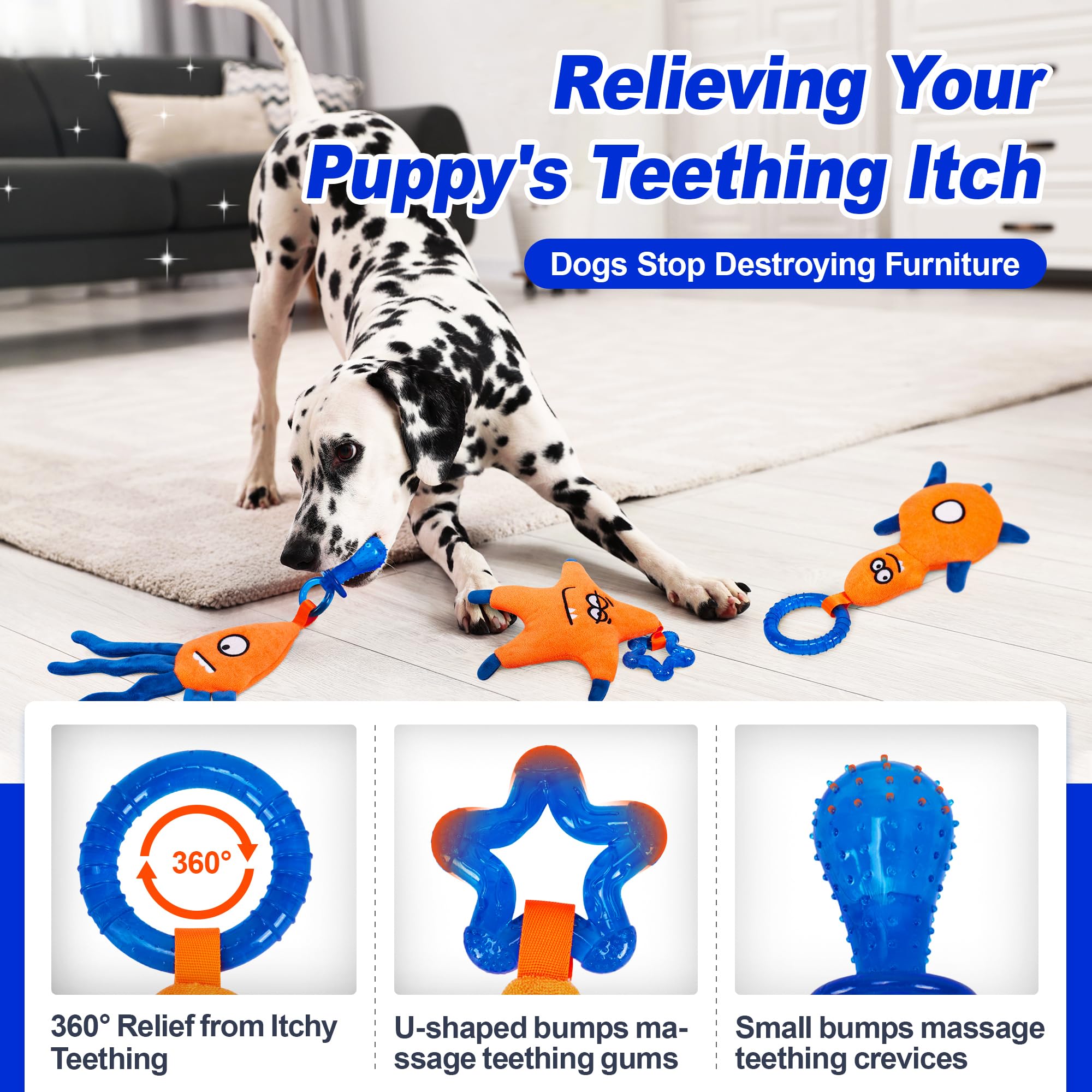ADDPETS comparaison taille contre une main pour choisir convenance