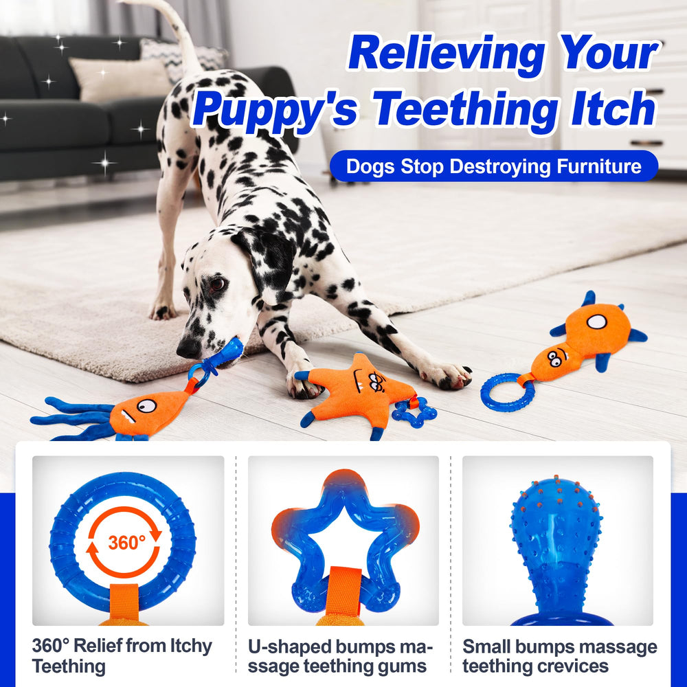 ADDPETS comparaison taille contre une main pour choisir convenance