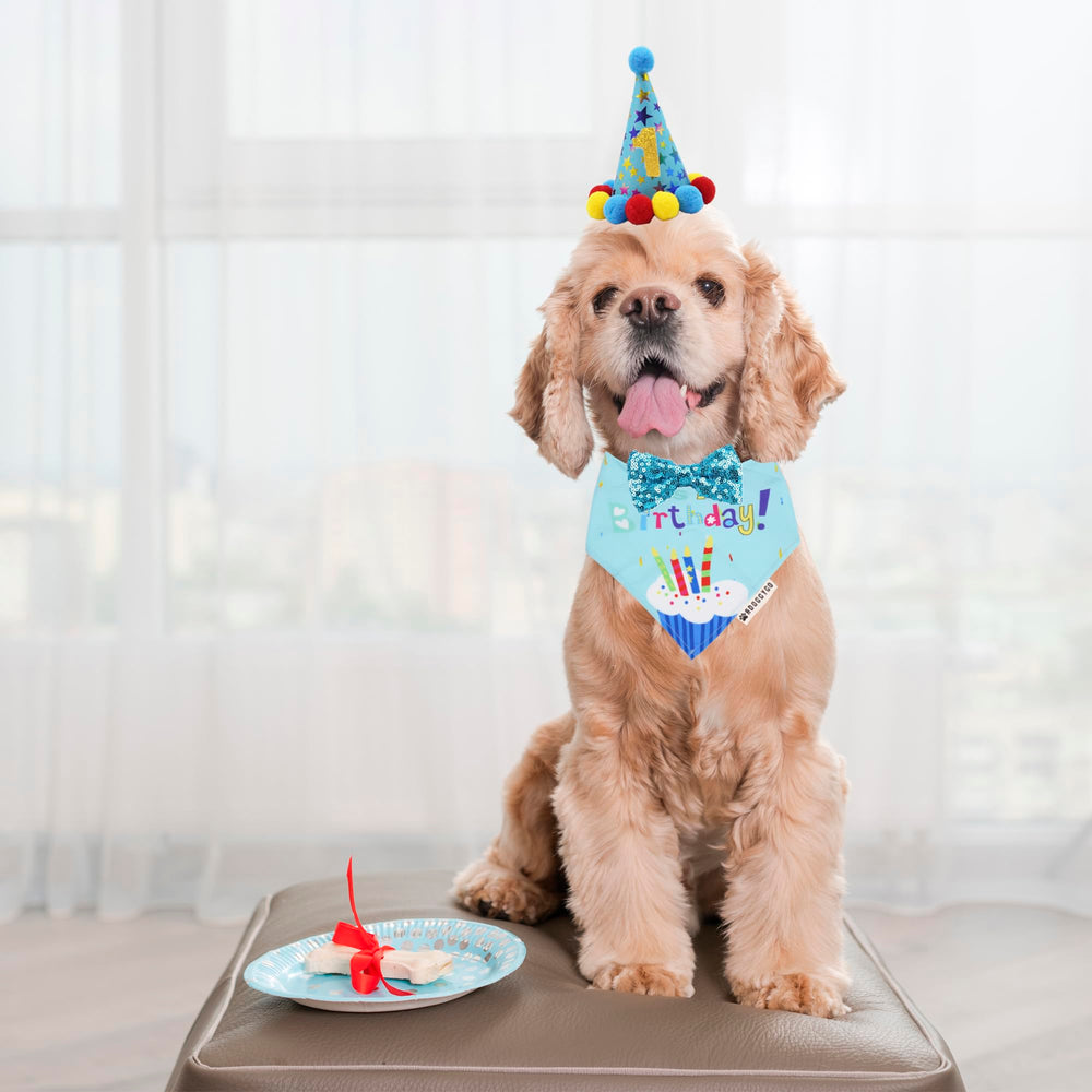 ADOGGYGO gros plan du bandana bleu en tissu doux, confort et tenue légère